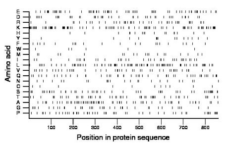 amino acid map