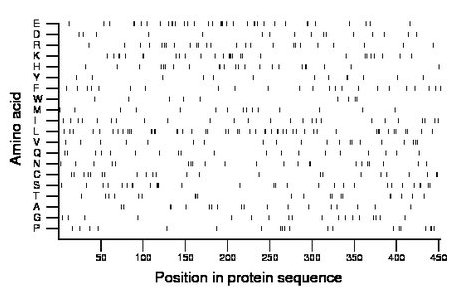 amino acid map