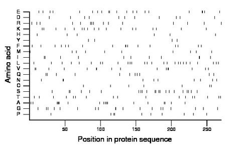 amino acid map