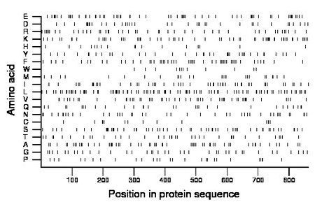 amino acid map