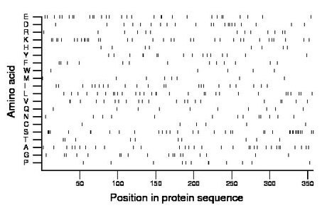 amino acid map