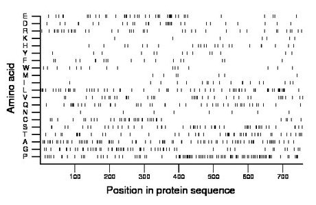 amino acid map