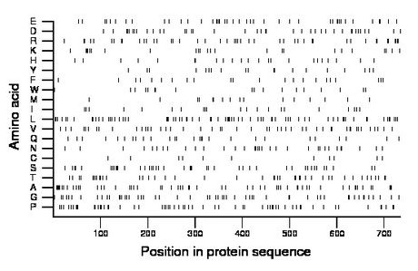 amino acid map