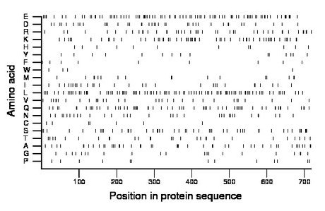 amino acid map