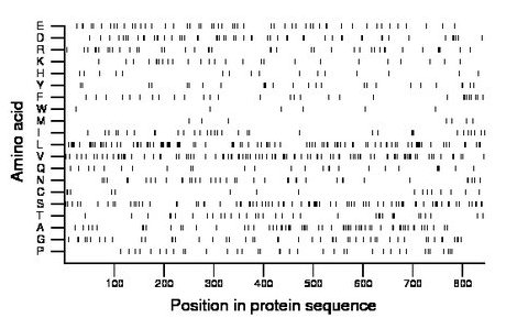 amino acid map