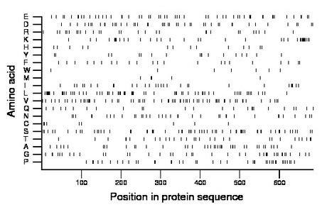 amino acid map