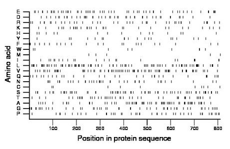 amino acid map