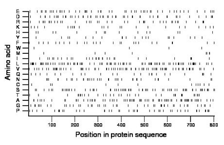 amino acid map