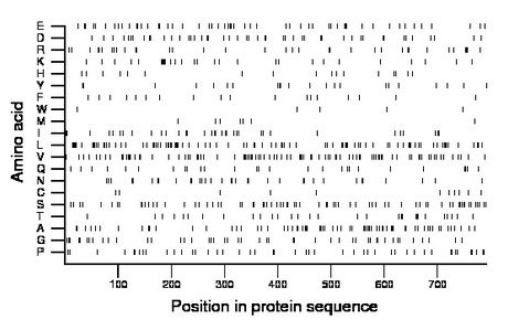 amino acid map