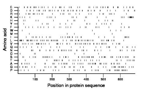 amino acid map