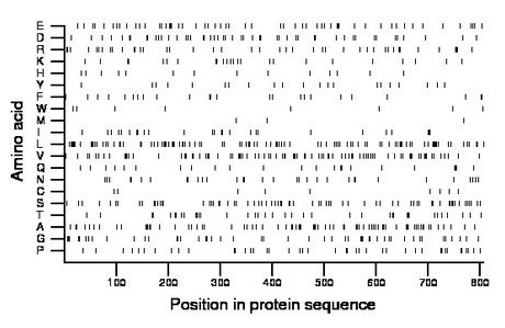 amino acid map