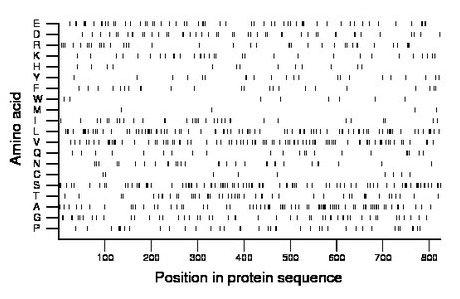 amino acid map