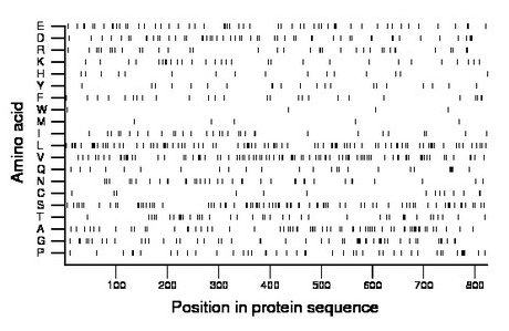 amino acid map