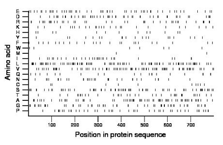 amino acid map