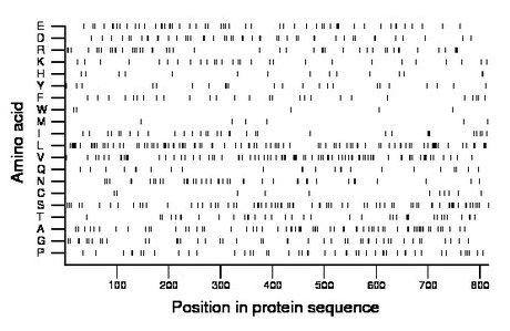 amino acid map