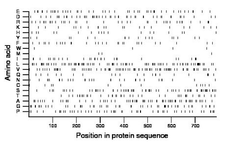 amino acid map