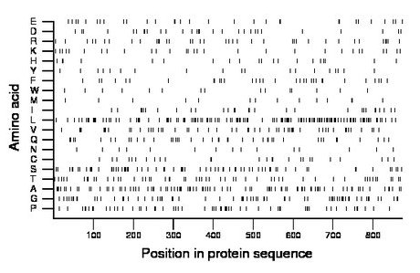 amino acid map