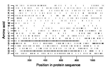 amino acid map