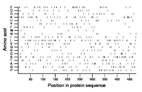 amino acid map