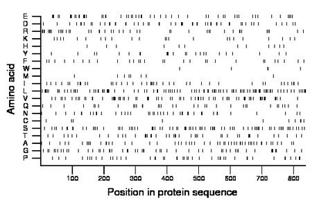 amino acid map