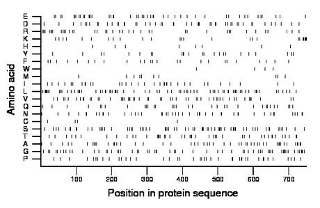 amino acid map