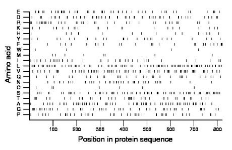 amino acid map