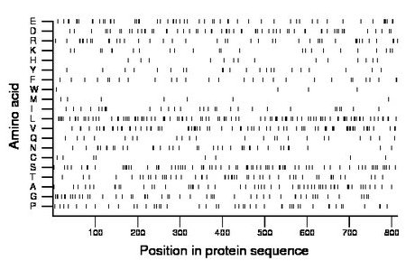 amino acid map