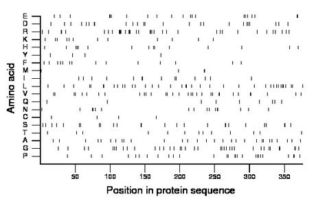 amino acid map