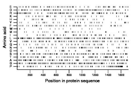 amino acid map