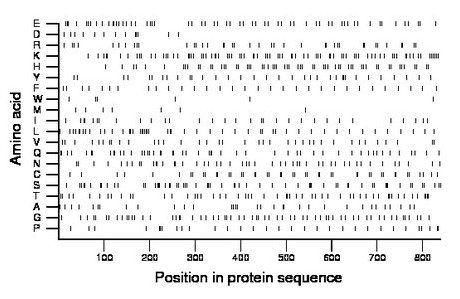 amino acid map