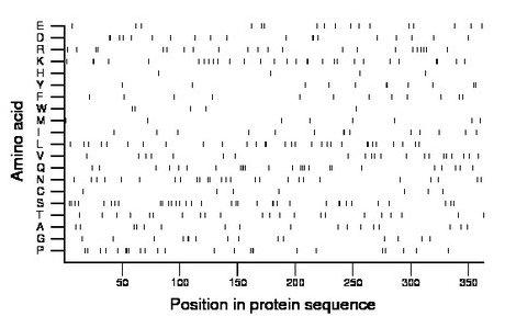 amino acid map