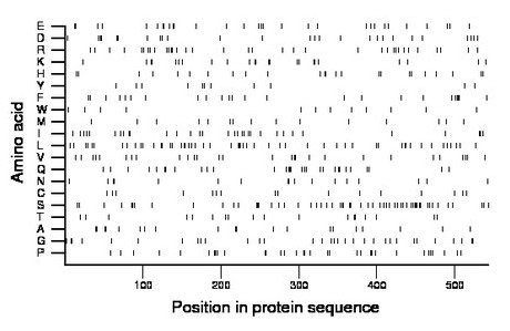 amino acid map