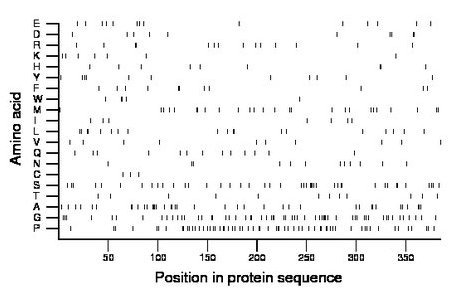 amino acid map