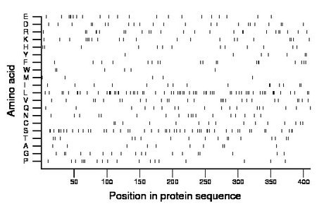 amino acid map