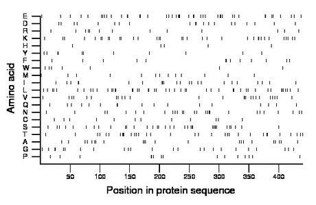 amino acid map