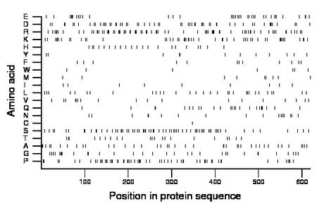 amino acid map