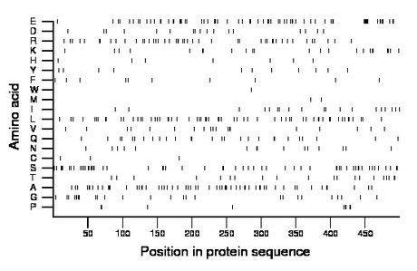 amino acid map