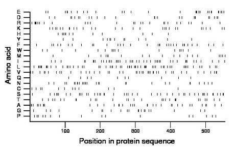 amino acid map