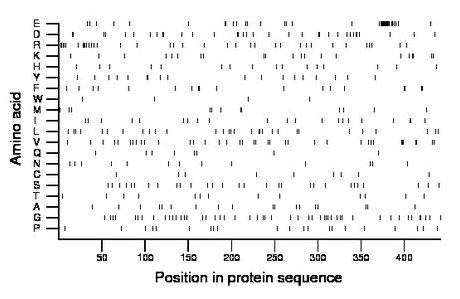 amino acid map