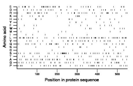 amino acid map