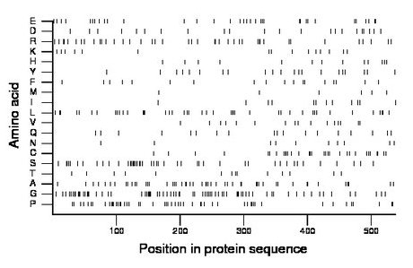 amino acid map