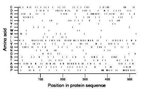 amino acid map