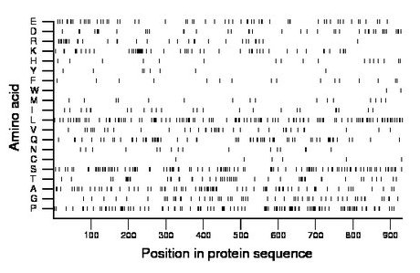 amino acid map