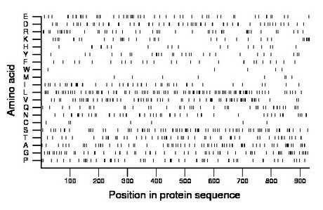 amino acid map