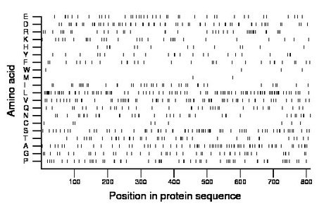 amino acid map