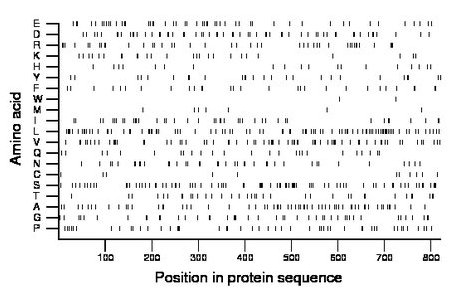 amino acid map