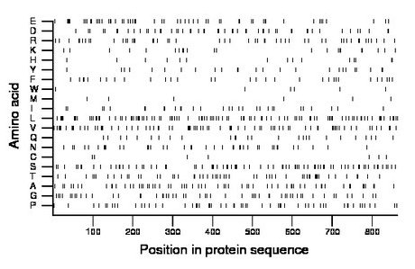 amino acid map