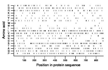 amino acid map