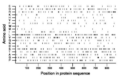 amino acid map