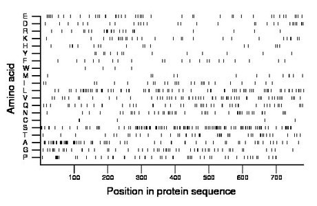 amino acid map